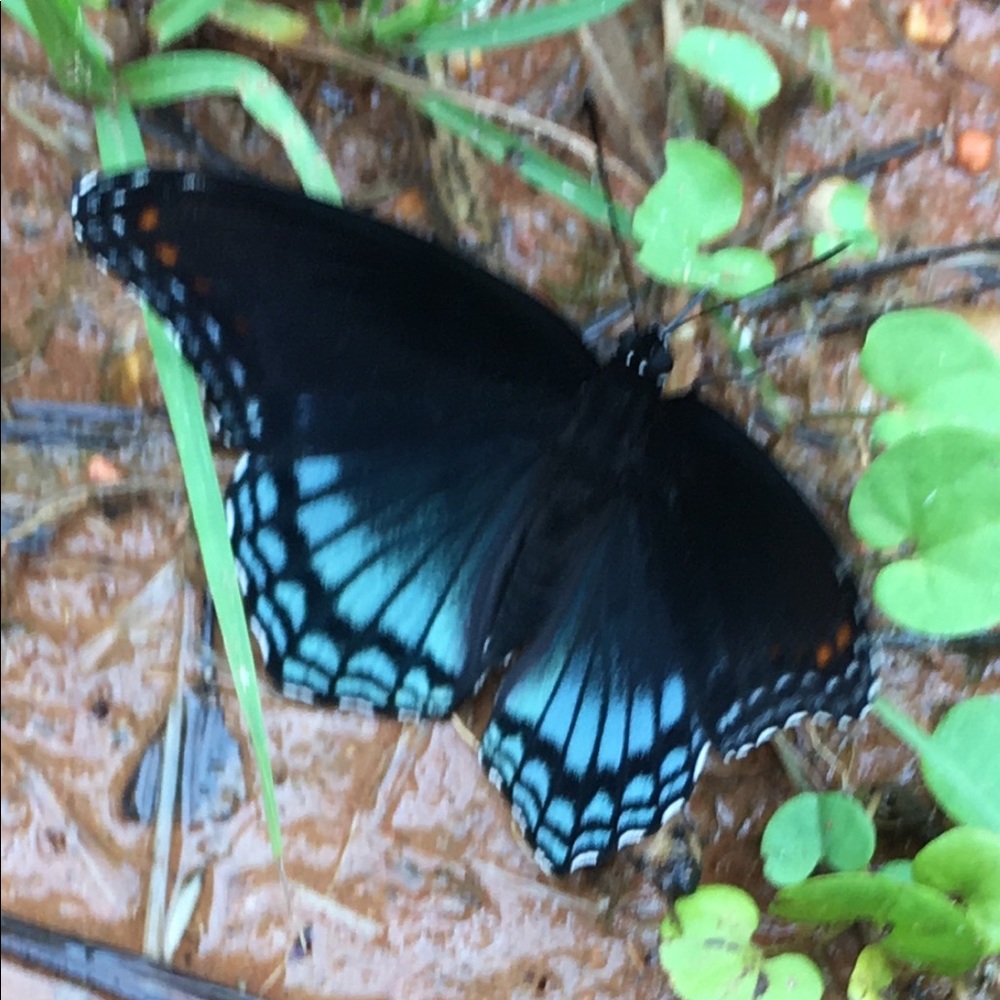 Meet your Posher, Karyn